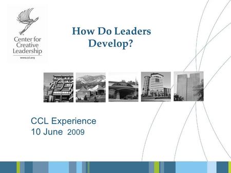 How Do Leaders Develop? CCL Experience 10 June 2009.