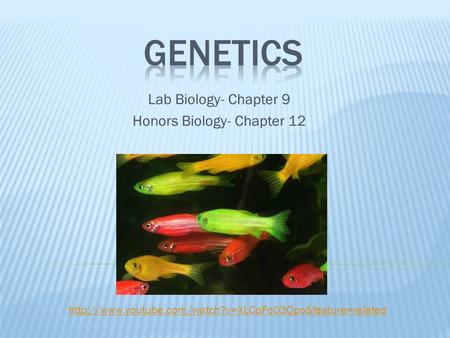 Lab Biology- Chapter 9 Honors Biology- Chapter 12