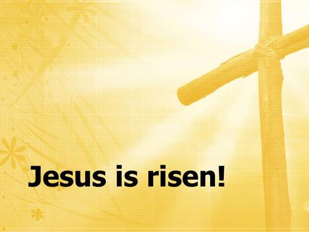 Jesus is risen!. For what I received I passed on to you as of first importance: that Christ died for our sins, that He was buried, that He was raised.