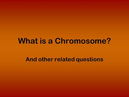 What is a Chromosome? And other related questions.