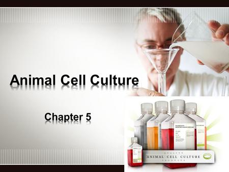 The culture of animal cells and tissues has now become a widely used technique in a spectrum of discipline ranging from environmental sciences to molecular.
