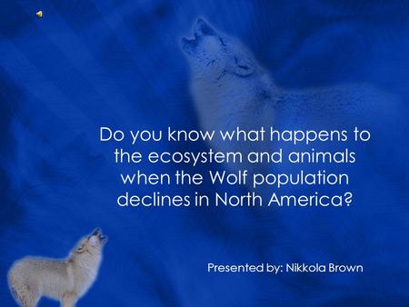 Do you know what happens to the ecosystem and animals when the Wolf population declines in North America? Presented by: Nikkola Brown.