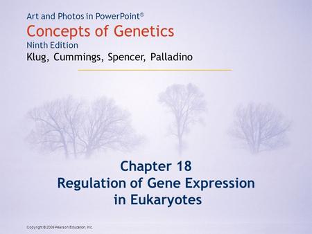 Copyright © 2009 Pearson Education, Inc. Art and Photos in PowerPoint ® Concepts of Genetics Ninth Edition Klug, Cummings, Spencer, Palladino Chapter 18.