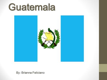 Guatemala By: Brianna Feliciano. The Meaning Of The Flag The Crossed Rifles and Bird represent that the people of the Guatemala country defend themselves.