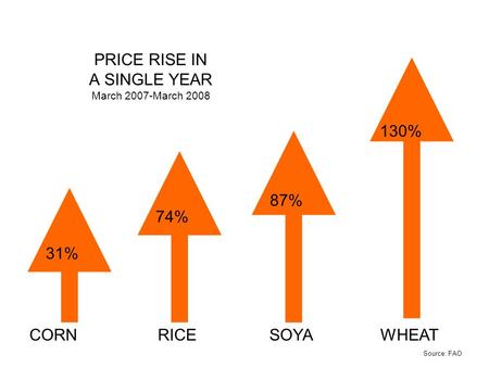 PRICE RISE IN A SINGLE YEAR March 2007-March 2008 31% 74% 87% 130% CORNRICESOYAWHEAT Source: FAO.
