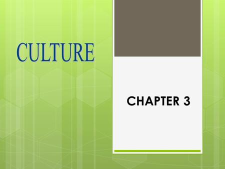 CHAPTER 3. SOCIETY  People who interact in a defined territory  And share a culture Society & Culture-> Interdependent.