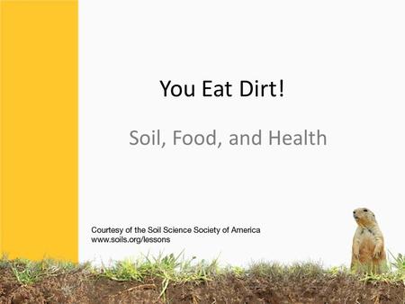 You Eat Dirt! Soil, Food, and Health. That’s why we need to eat a diversity of foods. Healthy bodies need lots of nutrients.
