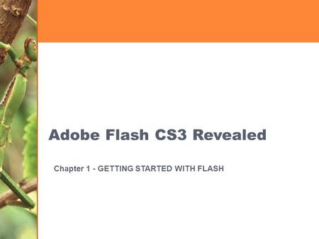 Adobe Flash CS3 Revealed Chapter 1 - GETTING STARTED WITH FLASH.