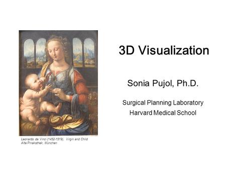 -1- 3D Visualization. Sonia Pujol, Ph.D., Harvard Medical School National Alliance for Medical Image Computing 3D Visualization Sonia Pujol, Ph.D. Surgical.