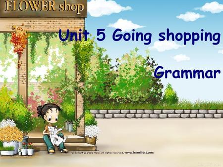 Unit 5 Going shopping Grammar