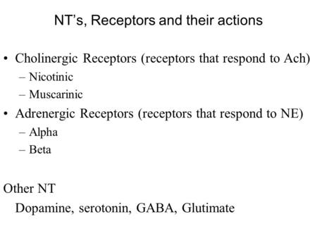 NT’s, Receptors and their actions Cholinergic Receptors (receptors that respond to Ach) –Nicotinic –Muscarinic Adrenergic Receptors (receptors that respond.
