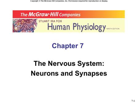 Copyright © The McGraw-Hill Companies, Inc. Permission required for reproduction or display. Chapter 7 The Nervous System: Neurons and Synapses 7-1.