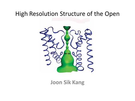 High Resolution Structure of the Open NaK Channel Joon Sik Kang.
