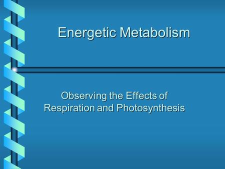 Energetic Metabolism Observing the Effects of Respiration and Photosynthesis.