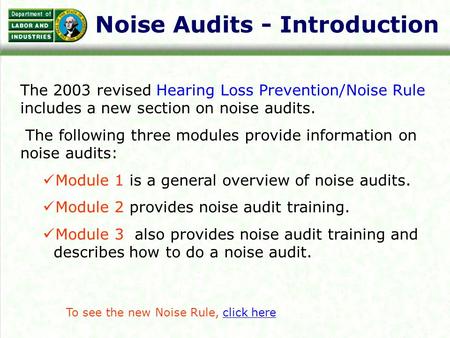 Noise Audits - Introduction The 2003 revised Hearing Loss Prevention/Noise Rule includes a new section on noise audits. The following three modules provide.