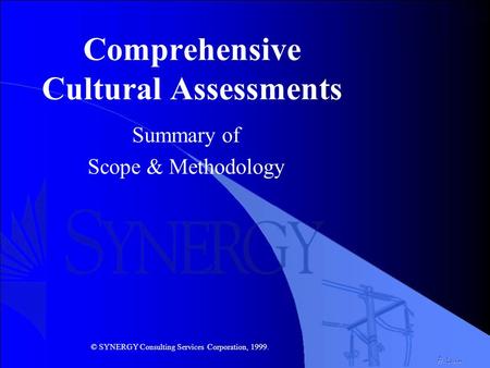 Comprehensive Cultural Assessments Summary of Scope & Methodology A. Levin © SYNERGY Consulting Services Corporation, 1999.