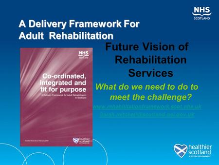 Future Vision of Rehabilitation Services What do we need to do to meet the challenge?