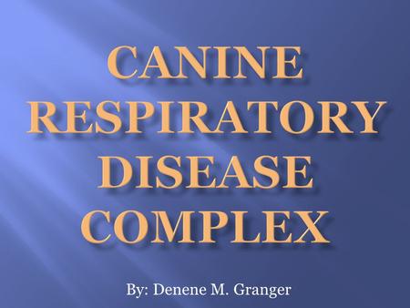 By: Denene M. Granger. Canine Respiratory Disease Complex There are several different ways dogs can acquire a respiratory disease, including the following: