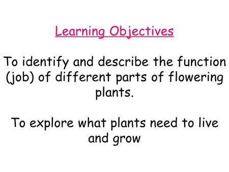 Learning Objectives To identify and describe the function (job) of different parts of flowering plants. To explore what plants need to live and grow.
