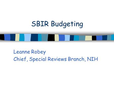 SBIR Budgeting Leanne Robey Chief, Special Reviews Branch, NIH.