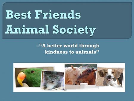 -“A better world through kindness to animals”.  “To lead a kindness revolution that transforms the way people relate to animals, nature, and each other.”
