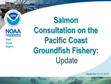 West Coast Region September 12-14, 2015 Salmon Consultation on the Pacific Coast Groundfish Fishery: Salmon Consultation on the Pacific Coast Groundfish.