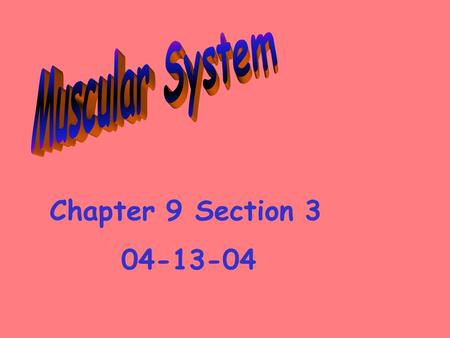 Chapter 9 Section 3 04-13-04. Muscular System: is made up of muscles and the connective tissue that attaches the muscles to the bones 3 Types of Muscles: