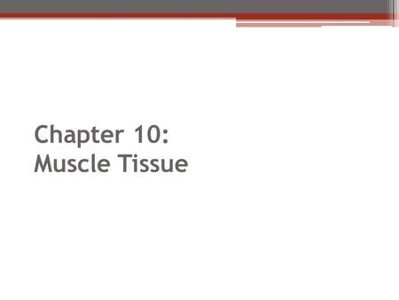 Chapter 10: Muscle Tissue. Muscle Tissue A primary tissue type, divided into : Cardiac muscle Smooth muscle Skeletal muscle Attached to bones Allows us.