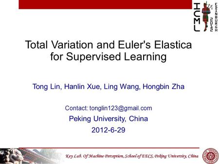 Total Variation and Euler's Elastica for Supervised Learning
