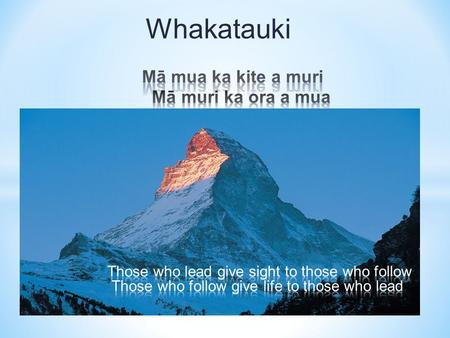 Whakatauki. What are the key steps to effectively facilitating a professional learning group?