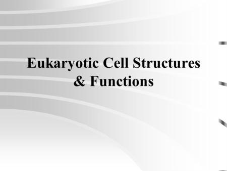 Eukaryotic Cell Structures & Functions An Organelle Is: A minute structure within a plant or animal cell that has a particular job or function.