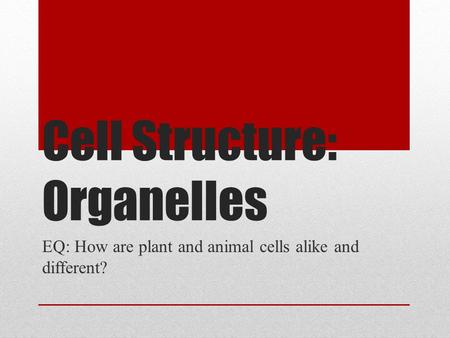 Cell Structure: Organelles