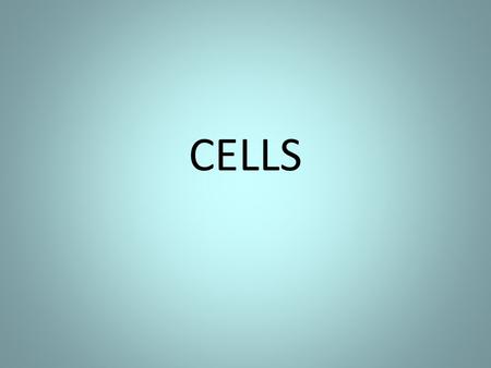 CELLS. 2 Types of Cells Prokaryotic (Bacteria) Eukaryotic (Plant & Animal) Both contain Organelles.