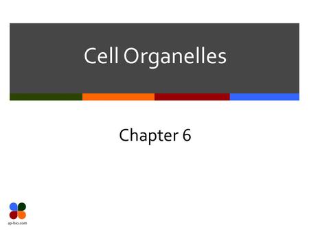 Cell Organelles Chapter 6. Slide 2 of 28 Nucleus 1.2.3. 4. 5. 6.