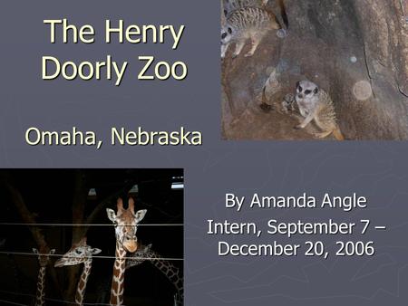 The Henry Doorly Zoo Omaha, Nebraska By Amanda Angle Intern, September 7 – December 20, 2006.