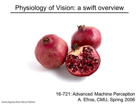 Physiology of Vision: a swift overview 16-721: Advanced Machine Perception A. Efros, CMU, Spring 2006 Some figures from Steve Palmer.