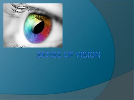 Sense of Vision.