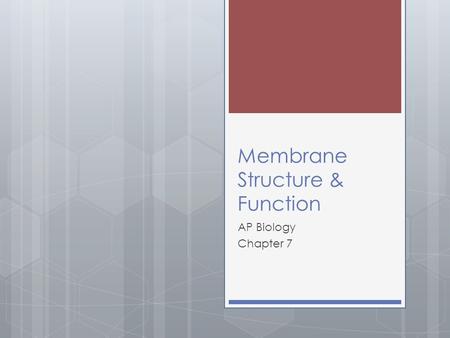 Membrane Structure & Function AP Biology Chapter 7.
