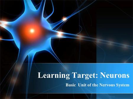 Learning Target: Neurons Basic Unit of the Nervous System.