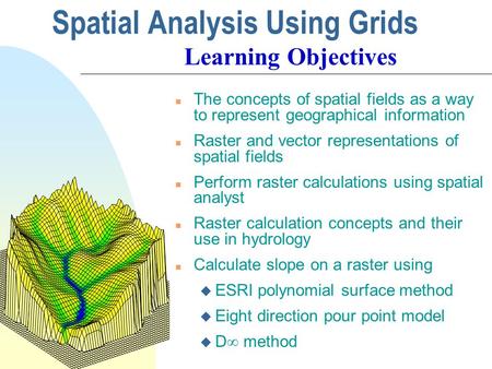 Spatial Analysis Using Grids n The concepts of spatial fields as a way to represent geographical information n Raster and vector representations of spatial.