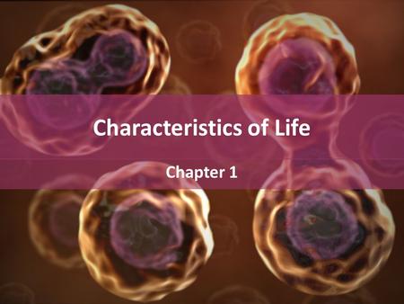 Characteristics of Life Chapter 1. Characteristics of Life 1.Living things are organized. – Made of cells?