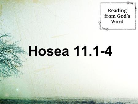 Hosea 11.1-4 Reading from God’s Word. 1 When Israel was a child, I loved him, and out of Egypt I called my son. 2 The more they were called, the more.