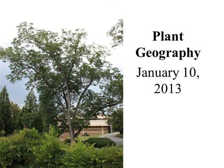 Plant Geography January 10, 2013. Ecosystems and Biogeography Biogeography – Examines the geographical distributions of organisms, their habitats, and.