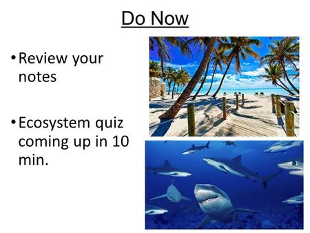 Do Now Review your notes Ecosystem quiz coming up in 10 min.