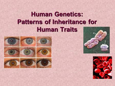 Human Genetics: Patterns of Inheritance for Human Traits.