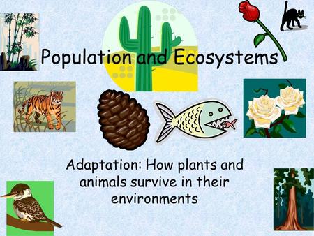 Population and Ecosystems Adaptation: How plants and animals survive in their environments.