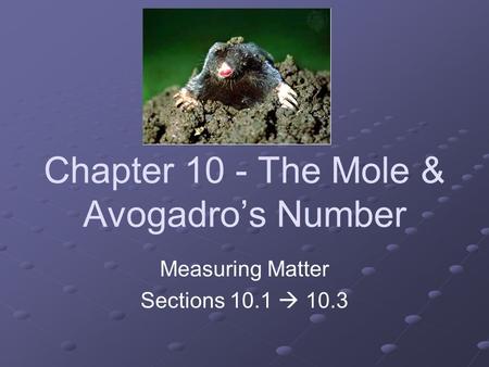 Chapter 10 - The Mole & Avogadro’s Number