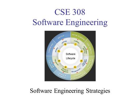 CSE 308 Software Engineering Software Engineering Strategies.