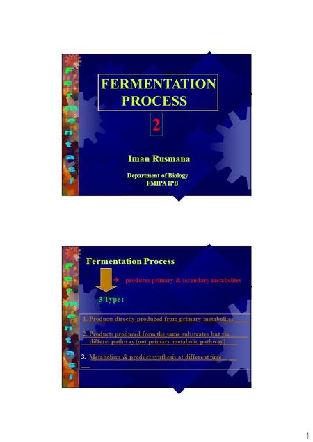 1 FERMENTATION PROCESS Iman Rusmana Department of Biology FMIPA IPB 2 Fermentation Process  produces primary & secondary metabolites 3 Type : 1. Products.