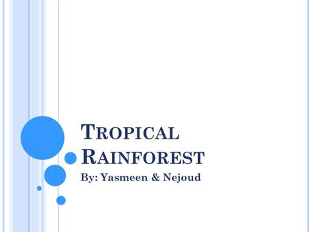 T ROPICAL R AINFOREST By: Yasmeen & Nejoud. I NTRODUCTION Tropical Rainforests are found in Asia, Africa, Australia, and South and Central America. Tropical.